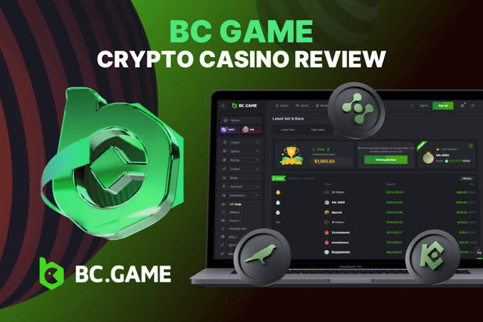 Understanding the BC.Game Mirror Your Guide to Accessing BC.Game Safely